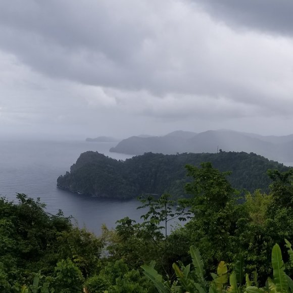 Meet your Posher, Marvin - Picture 2 of 8